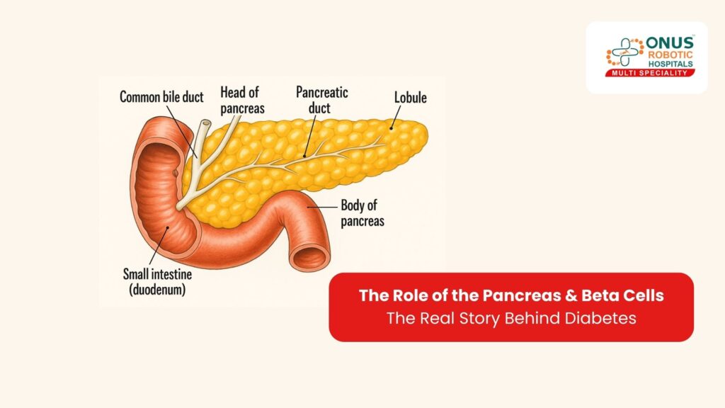 The Role of the Pancreas & Beta Cells — The Real Story Behind Diabetes by Dr P Ravi Kiran